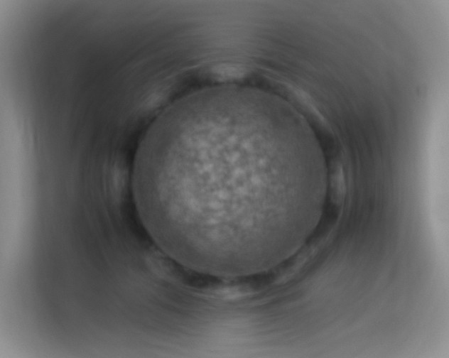 X0000113640608200909251242