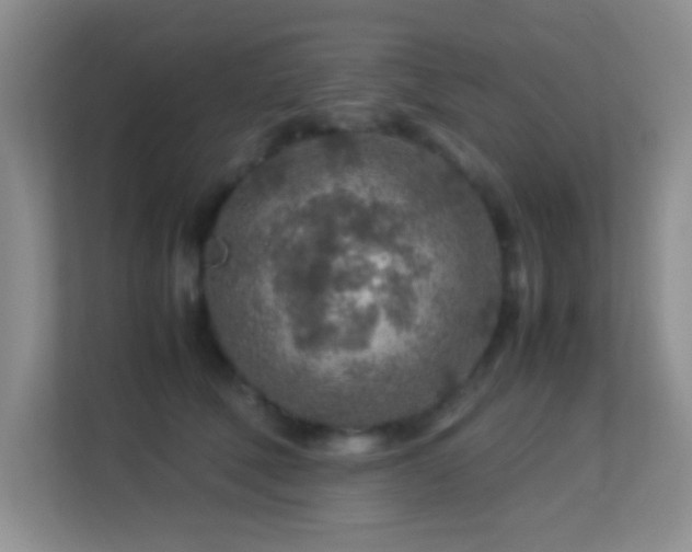 X0000113640610200909251242