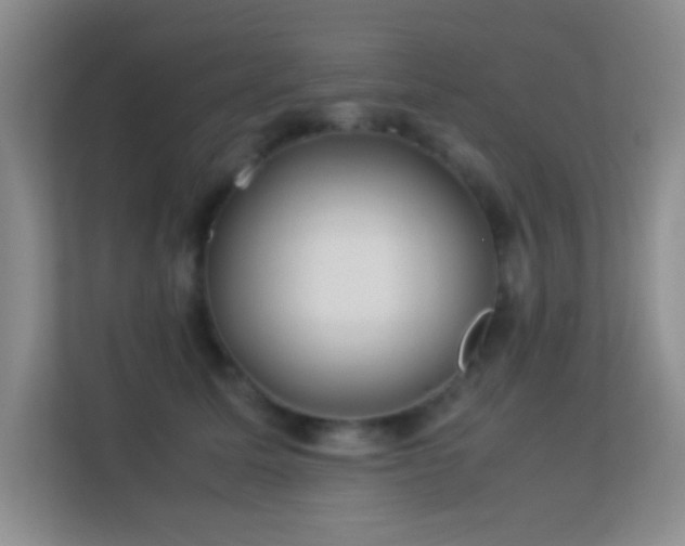 X0000113640611200909251242