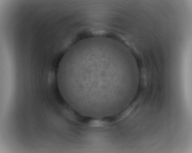 X0000113640614200909251242