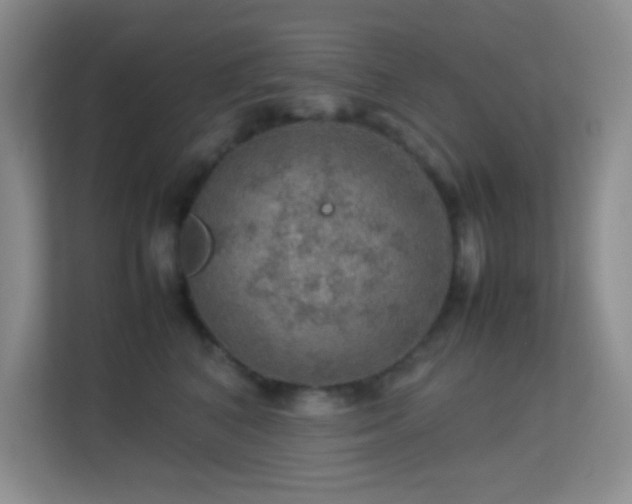 X0000113640616200909251242