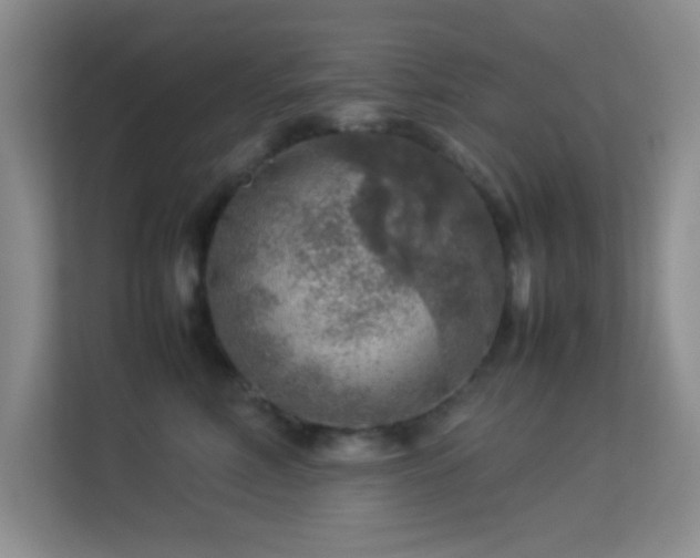 X0000113640618200909251242