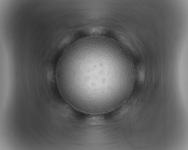 X0000113640619200909251242