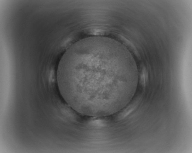 X0000113640620200909251242