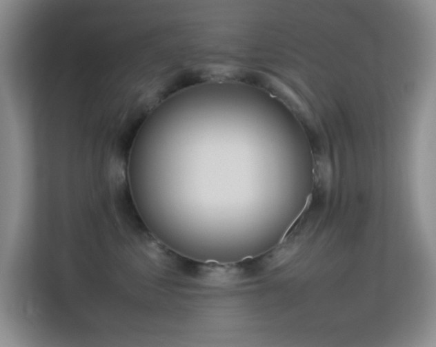 X0000113640621200909251242