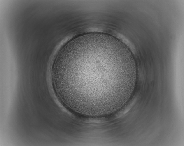 X0000113640625200909251242