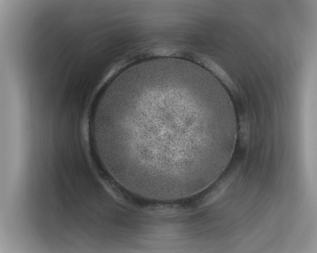 X0000113640626200909251242