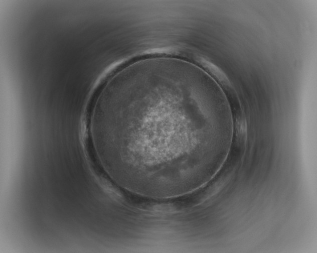 X0000113640628200909251242