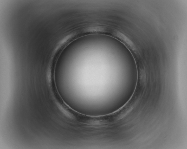 X0000113640629200909251242