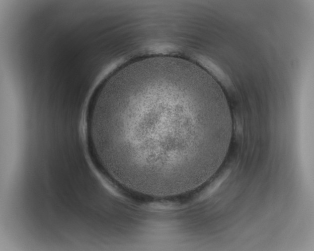 X0000113640630200909251242