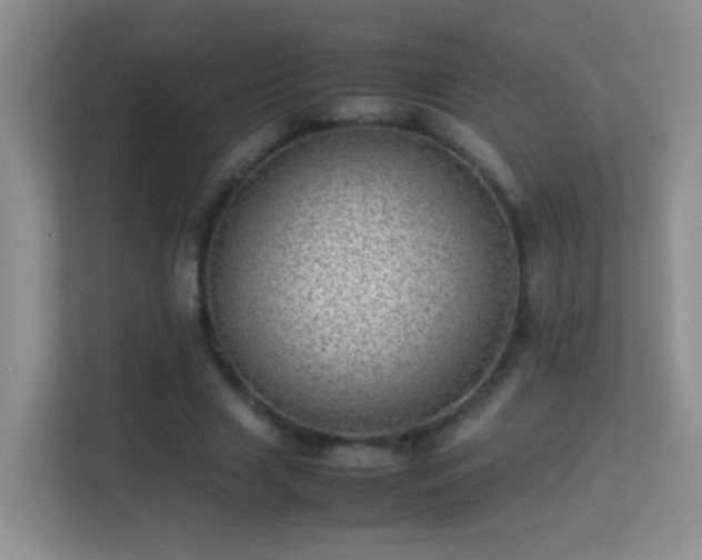 X0000113640633200909251242