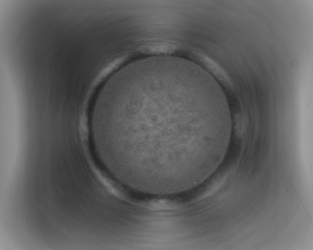 X0000113640634200909251242