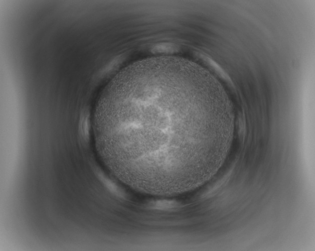 X0000113640637200909251242