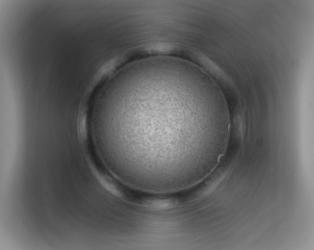 X0000113640638200909251242