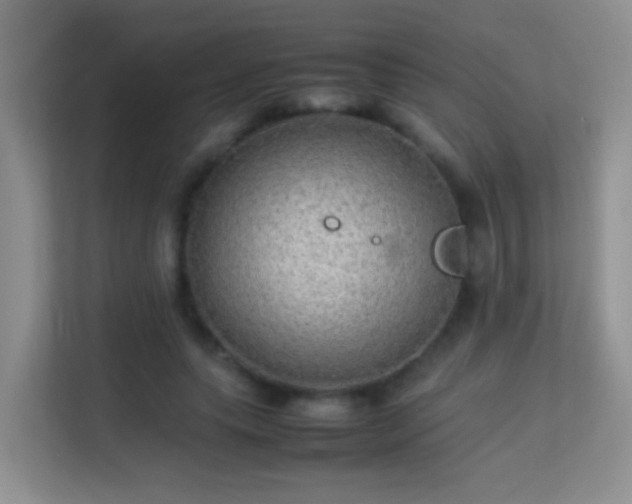 X0000113640639200909251242