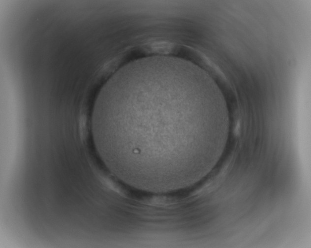 X0000113640641200909251242