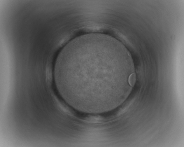 X0000113640642200909251242