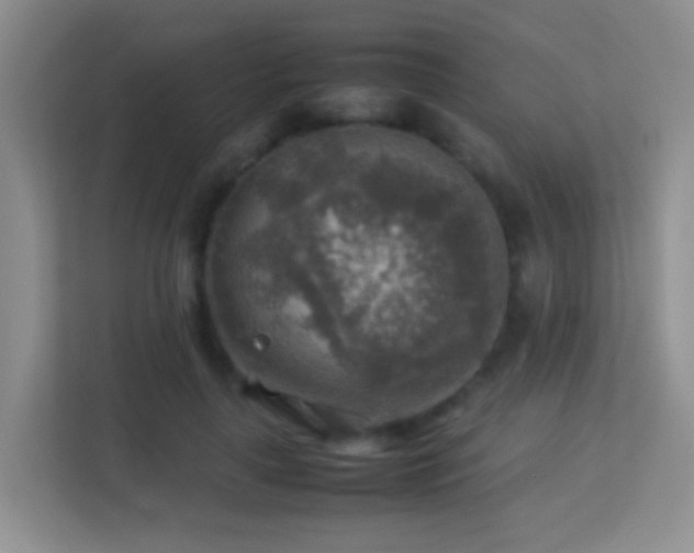 X0000113640643200909251242