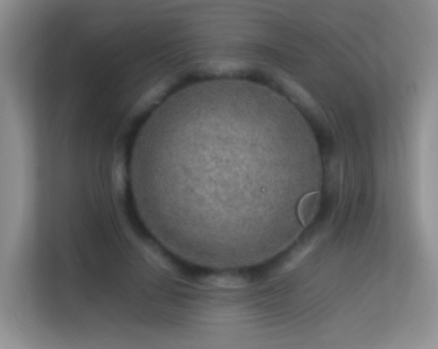 X0000113640644200909251242