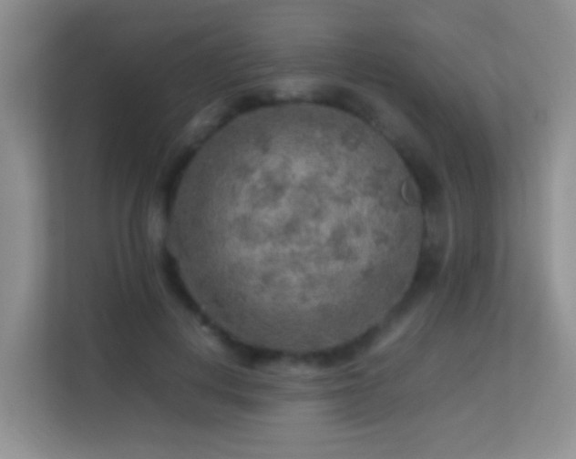 X0000113640648200909251242