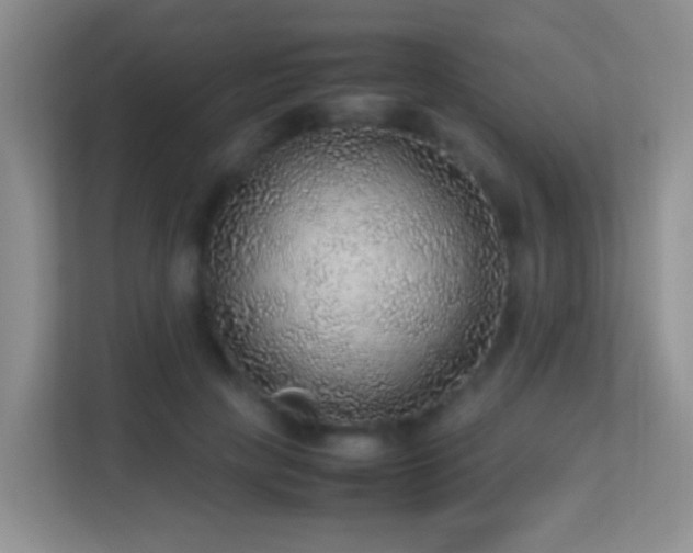 X0000113640649200909251242