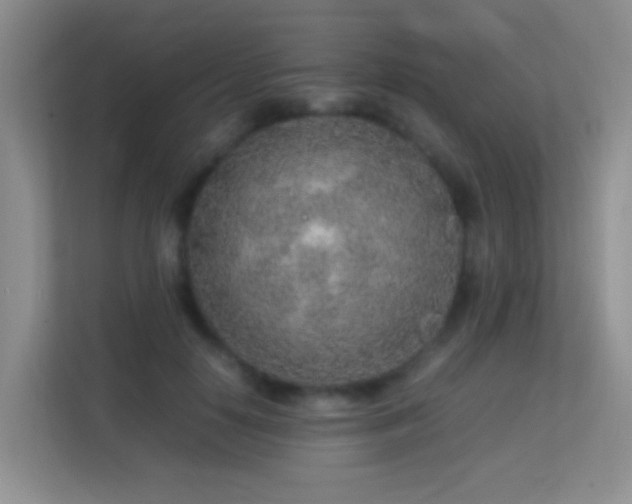 X0000113640650200909251242