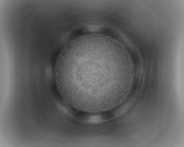 X0000113640651200909251242