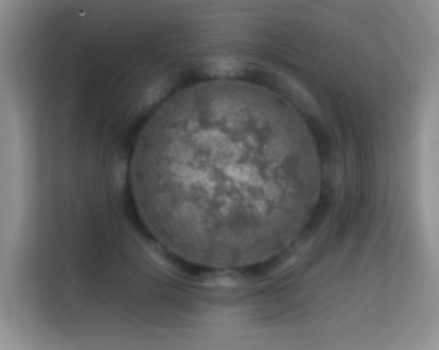 X0000113640652200909251242