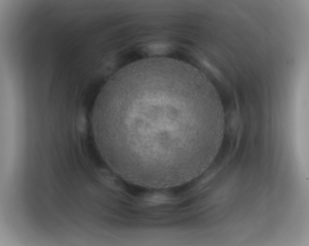 X0000113640655200909251242