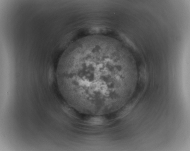 X0000113640659200909251242