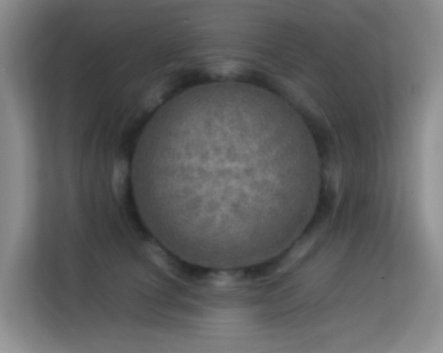 X0000113640660200909251242