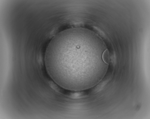 X0000113640662200909251242