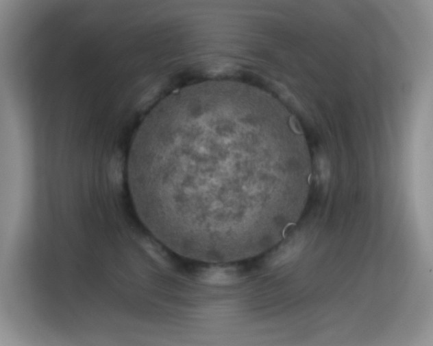 X0000113640664200909251242