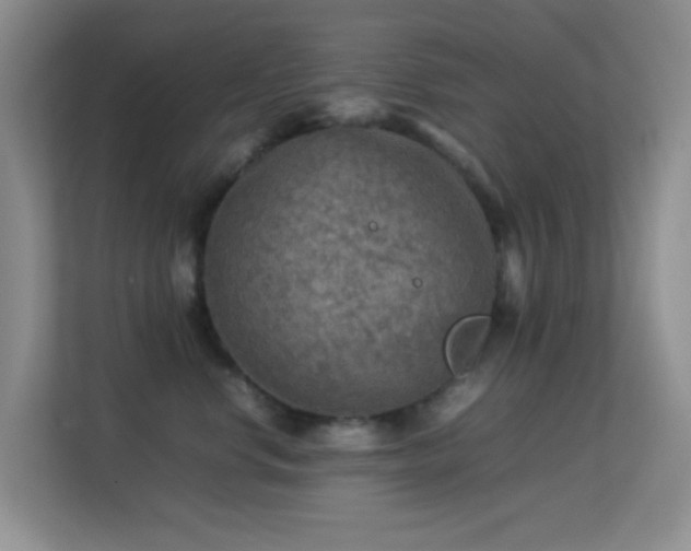 X0000113640668200909251242