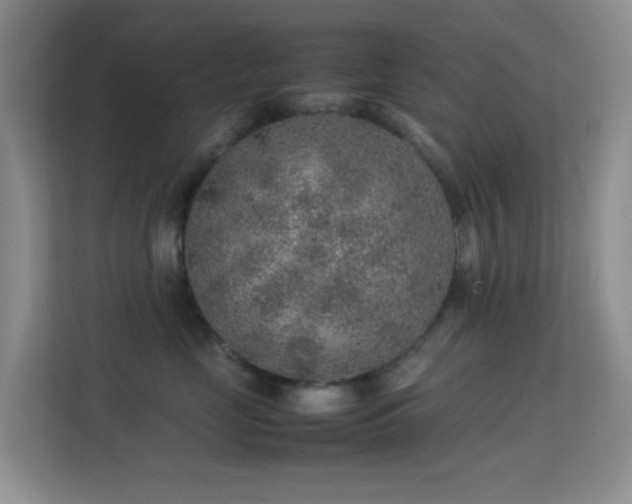 X0000113640669200909251242