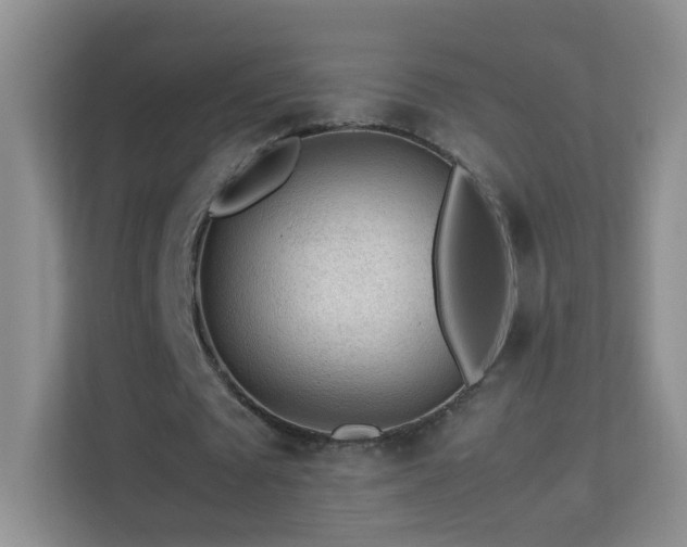 X0000113640673200909251242