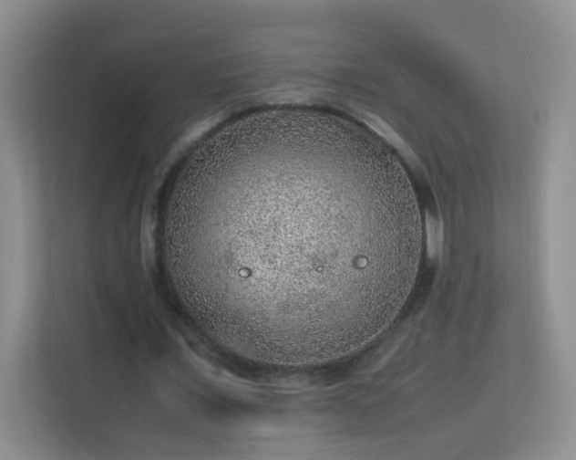 X0000113640675200909251242