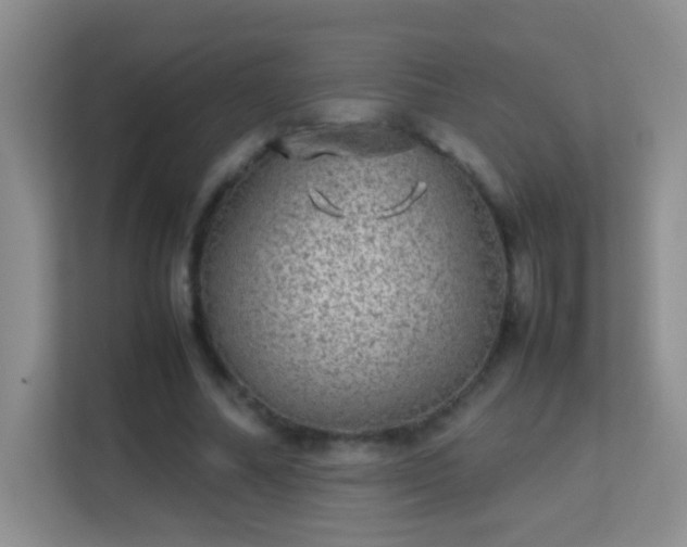 X0000113640682200909251241