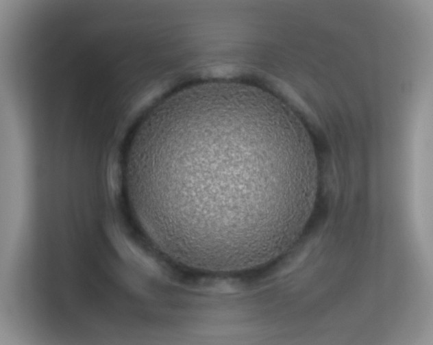 X0000113640683200909251241