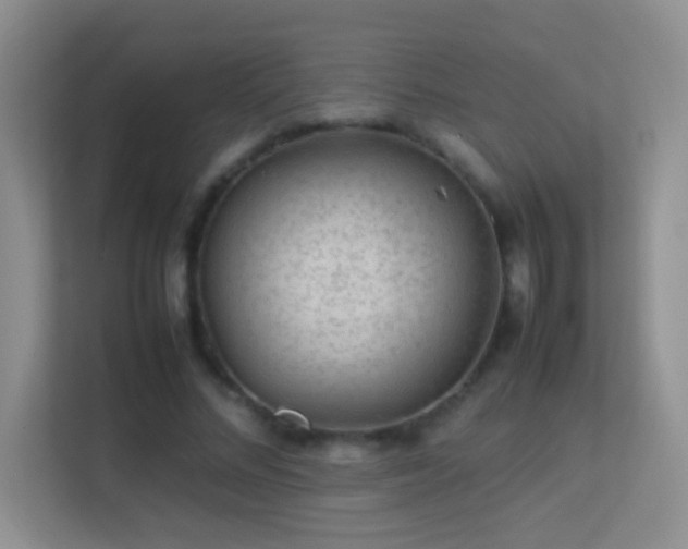 X0000113640684200909251241