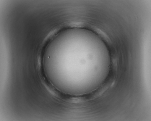 X0000113640686200909251241