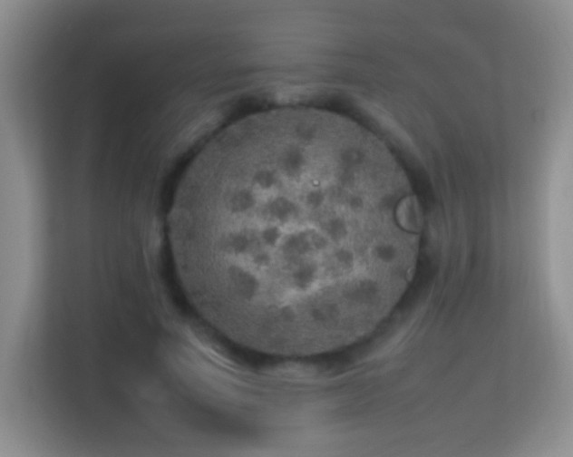 X0000113640691200909251241