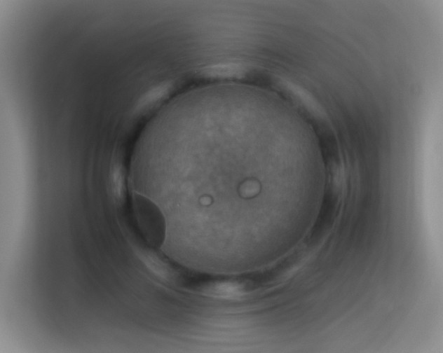 X0000113640692200909251241