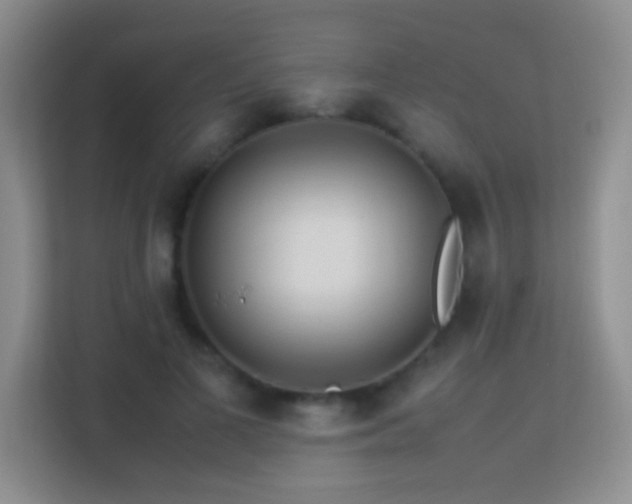 X0000113640693200909251241