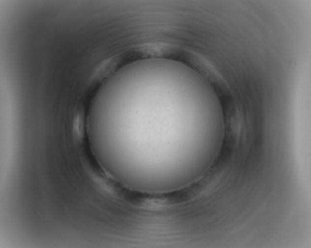 X0000113640694200909251241