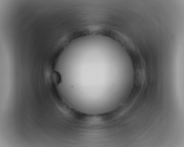 X0000113640698200909251241