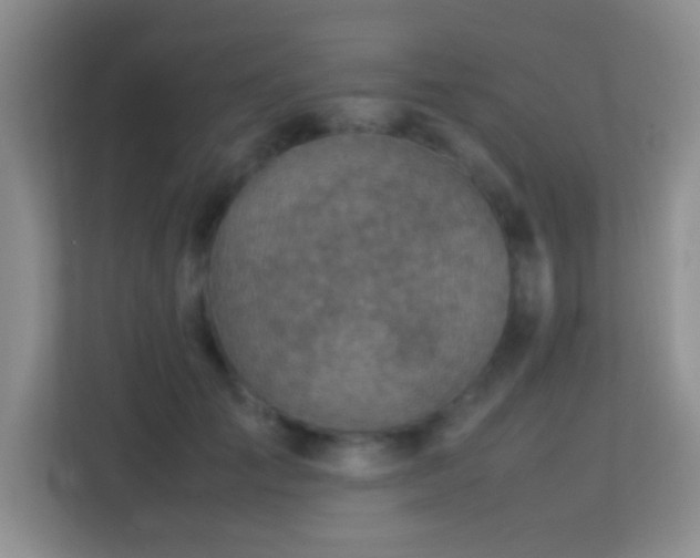 X0000113640701200909251241