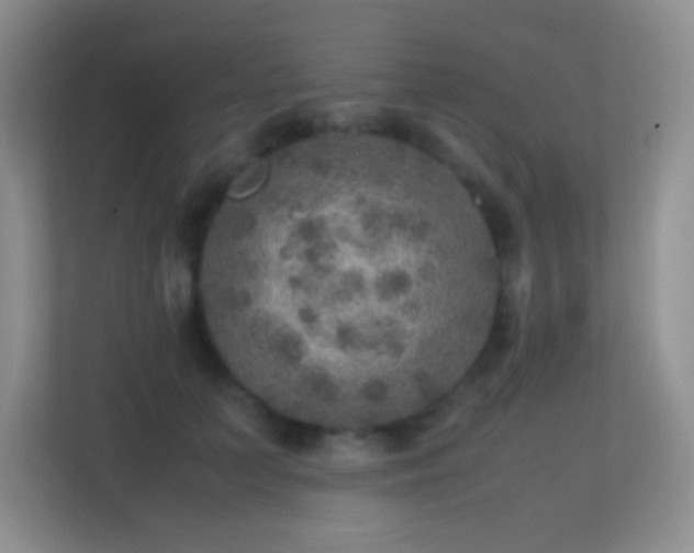 X0000113640703200909251241