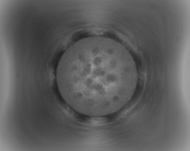 X0000113640707200909251241