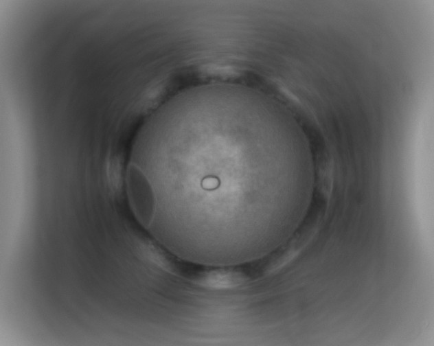 X0000113640708200909251241